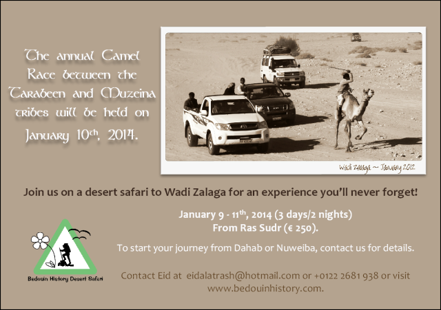 BHDS_Camel Race Ad 2014